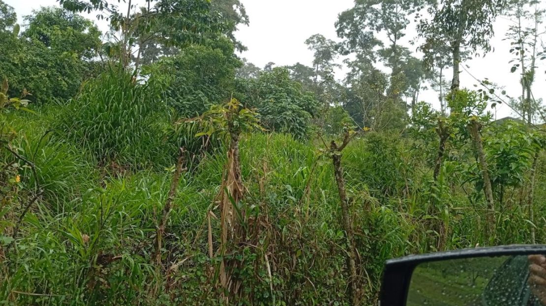 Costa Rica Real Estate