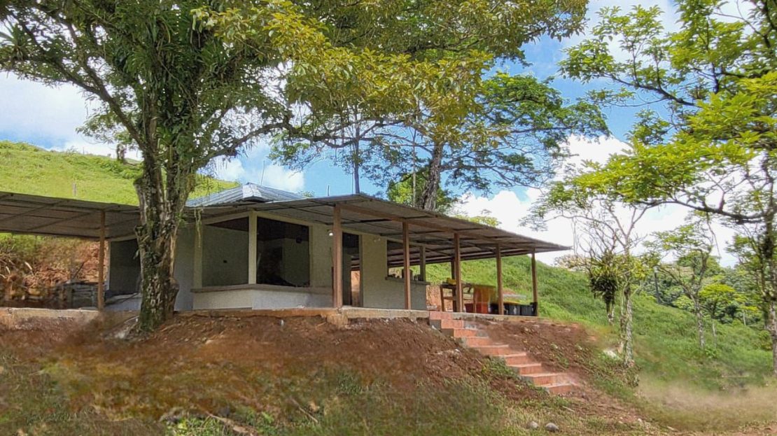 Private Forest Property with Brand-New Cabin and Perfect Climate – A Unique Opportunity