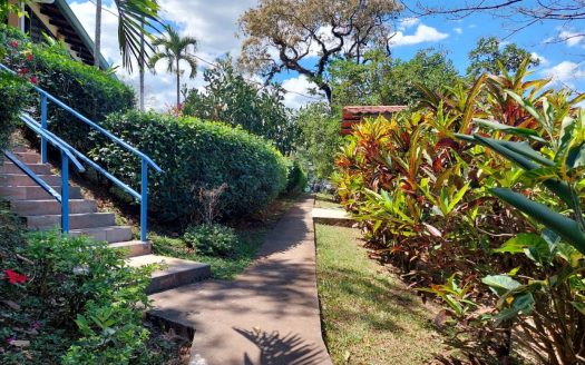 Lovely, safe, furnished with lot of nature Casa Ginger