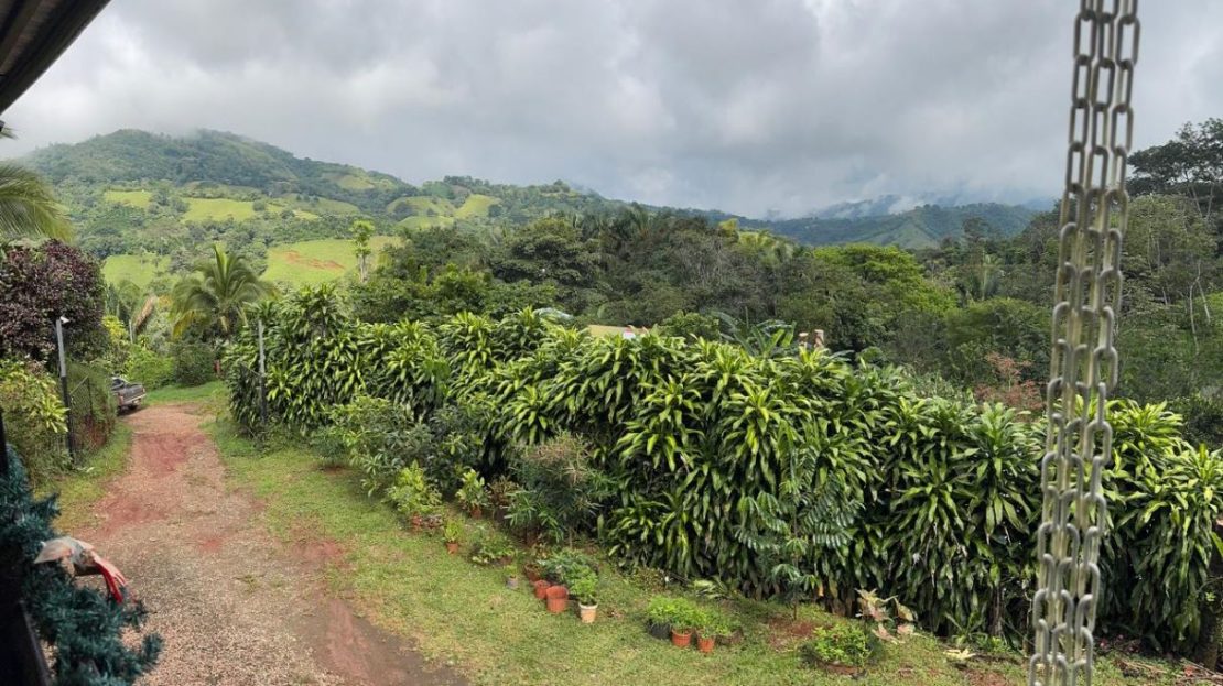 Costa Rica Real Estate