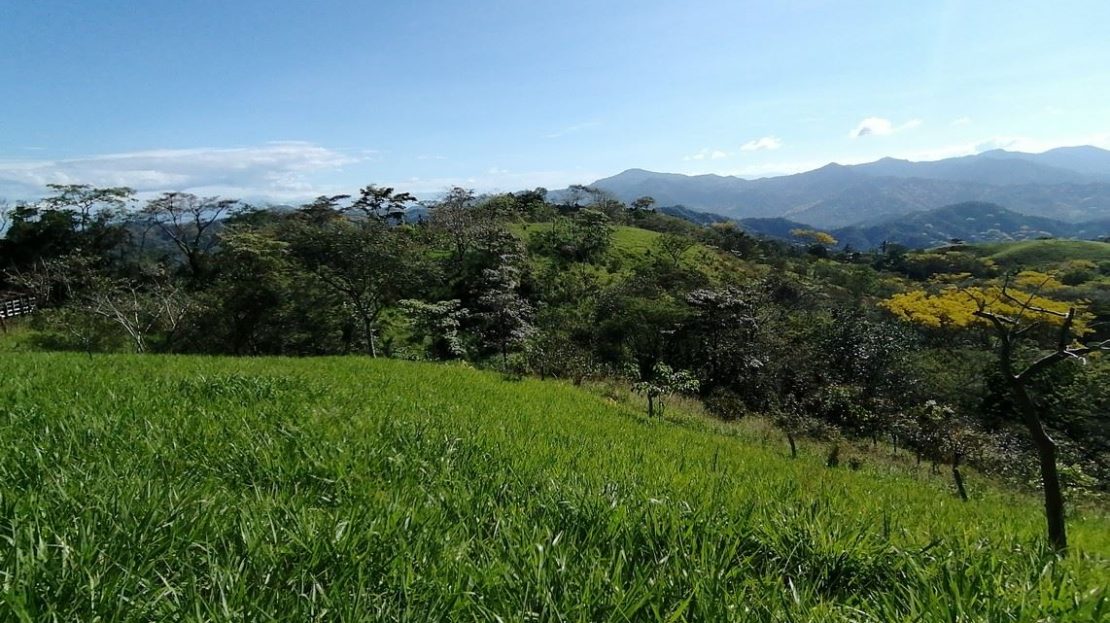 500 m² Ocean-View Building Lot in Nicoya Blue Zone