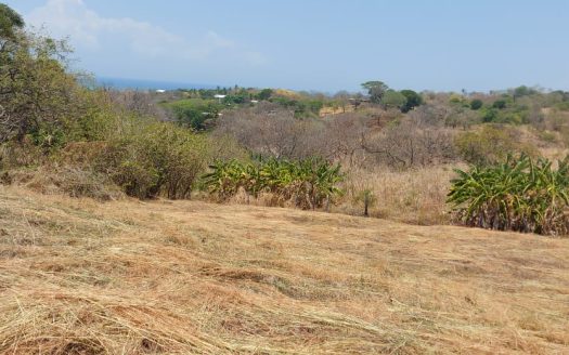 Beautiful land Ocean View