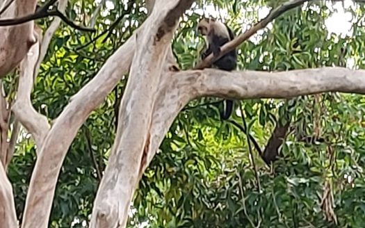 Beautiful Nature Estate, Nandayure Blue Zone