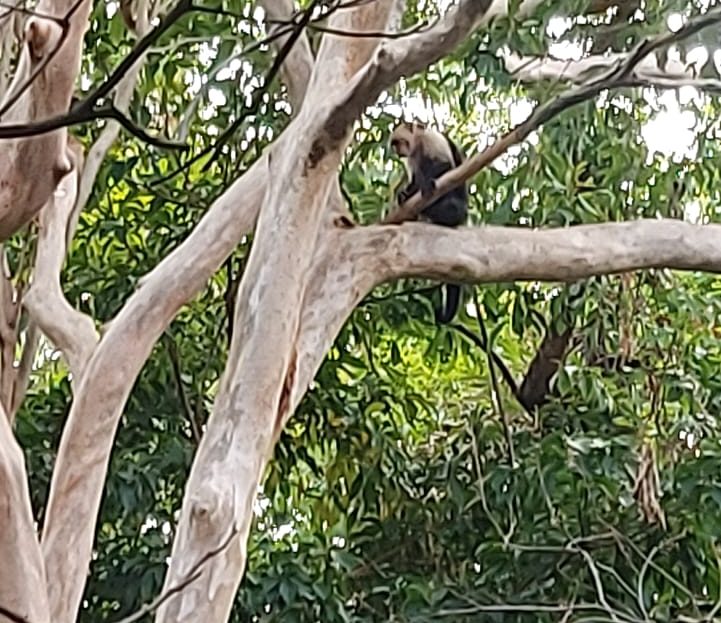 Nandayure Blue Zone Guanacaste | REMAX