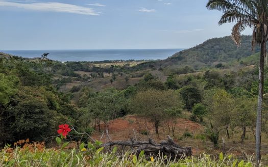 DIAMOND SEA VIEW PLOT IN COROZALITO