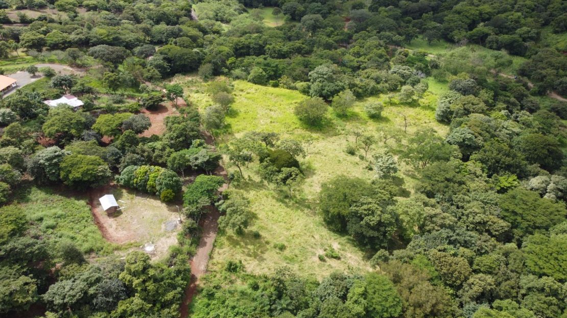 Quinta del Llano de Cañas – Nature