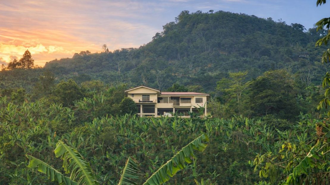 León Cortés Castro