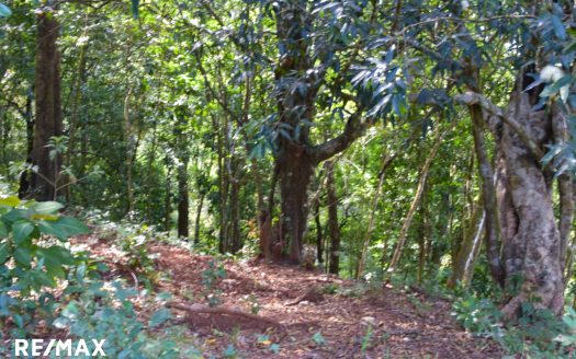 FINCA HOJANCHA 43 Guanacaste | REMAX