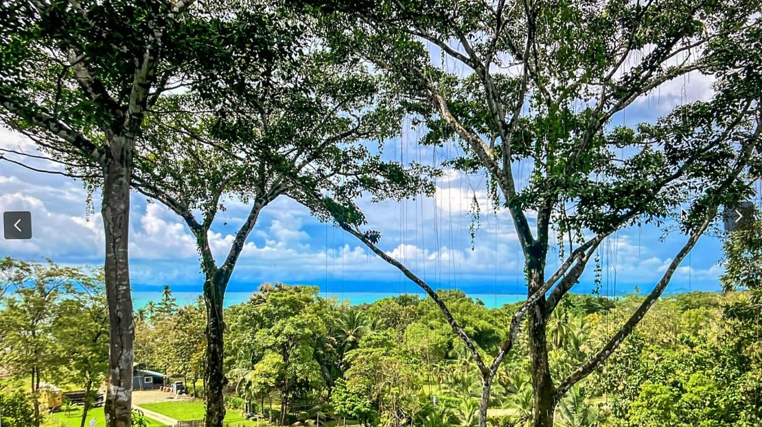 Golfito>Pavones Real Estate Listings 28149