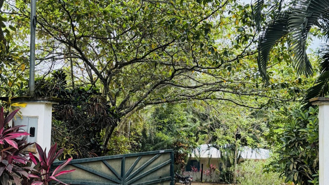 Golfito>Pavones Real Estate Listings 28205