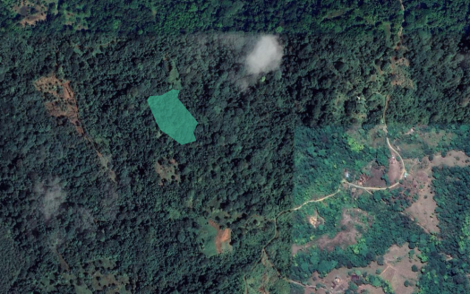1 Hectare (2.47 acres) Oceanview Jungle Property in La Hierba, Costa Rica