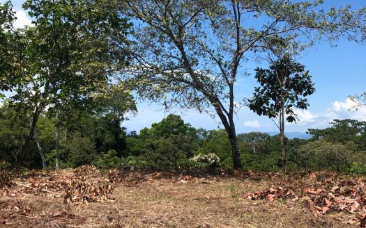 Jungle Sanctuary Near the Surf – 14 Acres in Pilón, Costa Rica