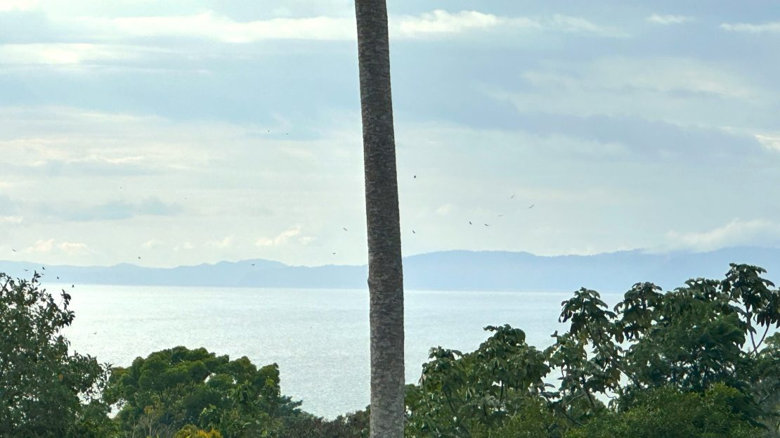 Golfito>Pavones Real Estate Listings 28646