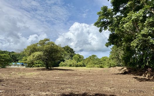 Golfito>Pavones Real Estate Listings 28650