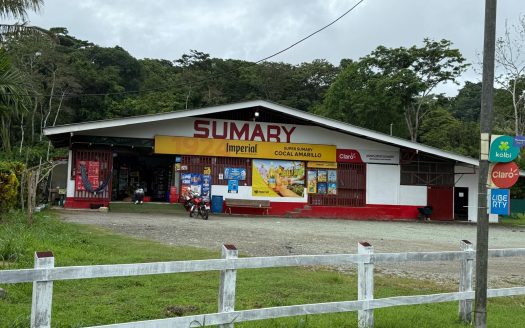 Rare +10,000 m² Commercial Lot in Pavones – High Visibility Near Surf, Shops & Paved Road