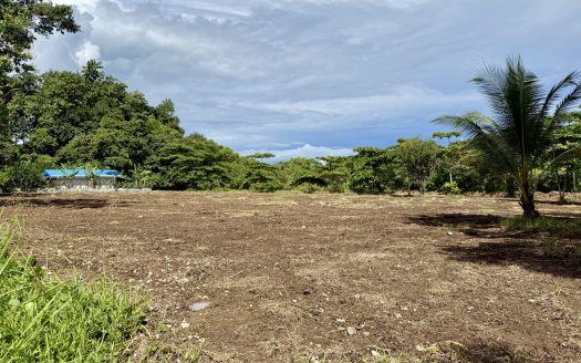 Golfito>Pavones Real Estate Listings 28760