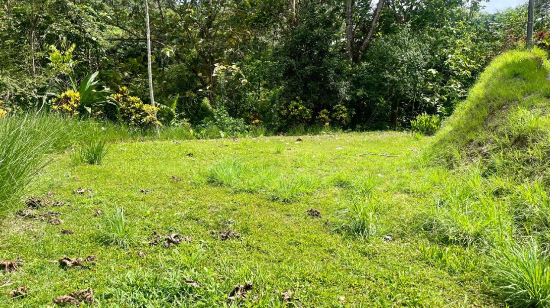 Golfito>Pilón Real Estate Listings 28469