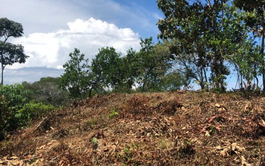 Jungle Property in Pilon with Ocean View Potential – Ideal for Your Dream Eco Retreat🌿