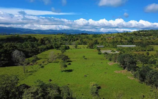 Farm for Sale in Paraíso de Cajón – Flat Land, Fresh Climate & Prime Location