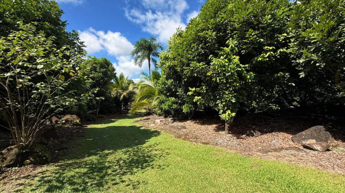 Rambutan Farm for Sale – San Pedro de Santiago