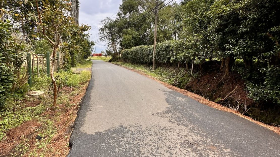 Spacious Lot with Spectacular Views and Surrounded by Nature!