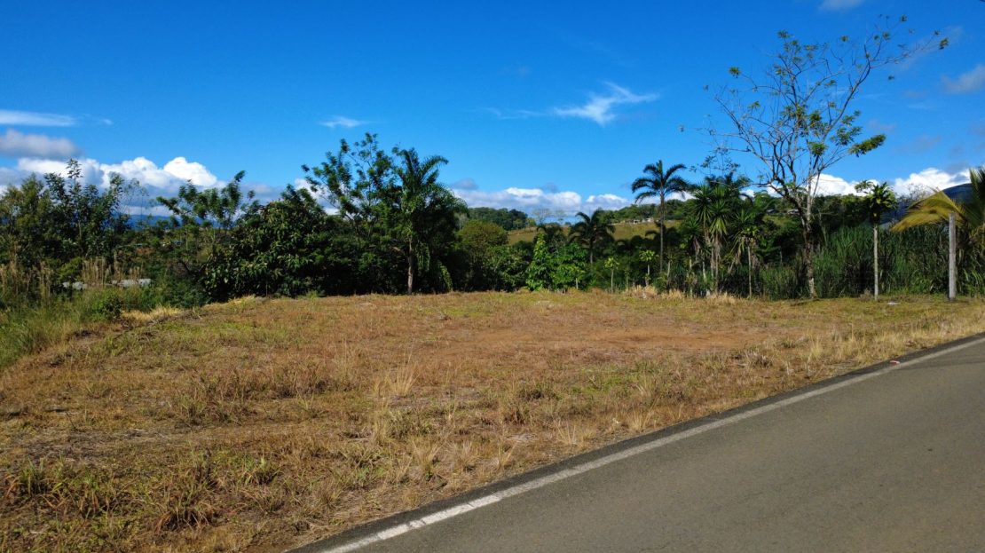 Flat Lot for Sale in Cajón