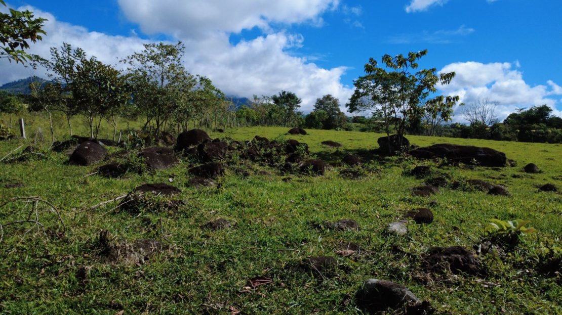 Fresh Climate & Prime Location