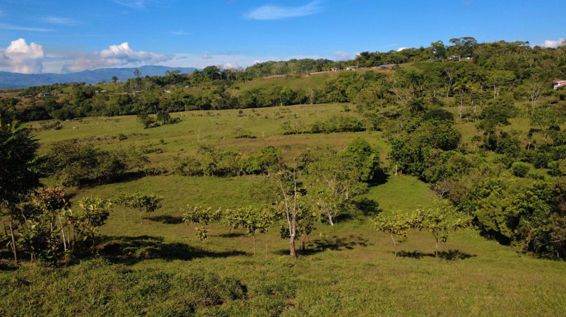 639 m² Farm for Sale with Chirripó Mountain Views – Paved Road Frontage