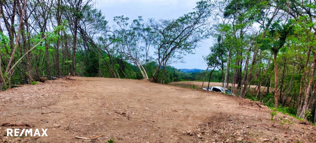 LOTE TRES PLANTELES