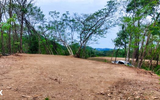 LOTE TRES PLANTELES Guanacaste | REMAX