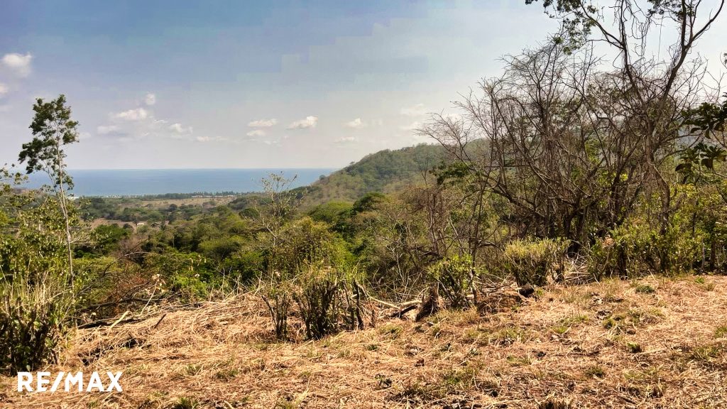 Lote Corozalito