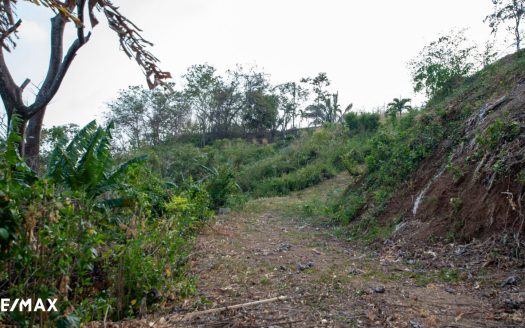 Lote Tranquila – Motivated Seller – Seller Financing – Water Letter in Hand !! Guanacaste | REMAX