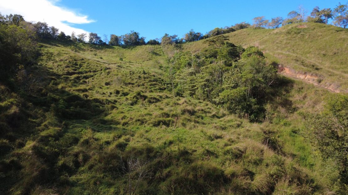 Stunning Farm For Sale In Perez Zeledon With High Development Potential