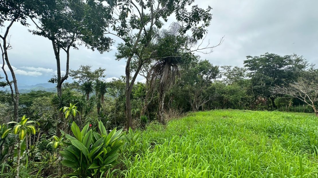 Montes de Oro For Sale 26282 | RE/MAX Costa Rica Real Estate