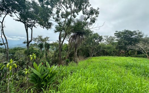 Montes de Oro For Sale 26282 | RE/MAX Costa Rica Real Estate