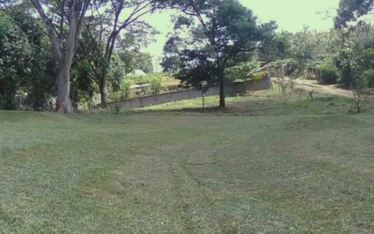 Orotina For Sale 25535 | RE/MAX Costa Rica Real Estate