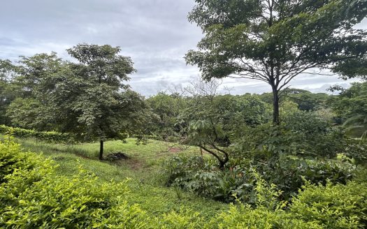 Stunning Lot in Exclusive Gated Community