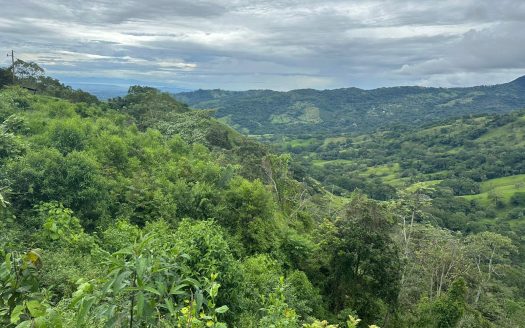 Ocean view property – Great Opportunity on Sale , Desmonte San Mateo