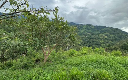 Orotina For Sale 26839 | RE/MAX Costa Rica Real Estate