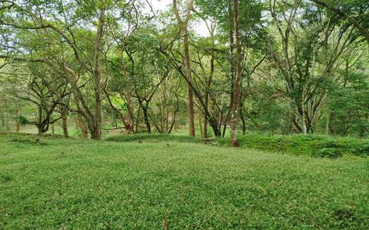 Orotina For Sale 27098 | RE/MAX Costa Rica Real Estate