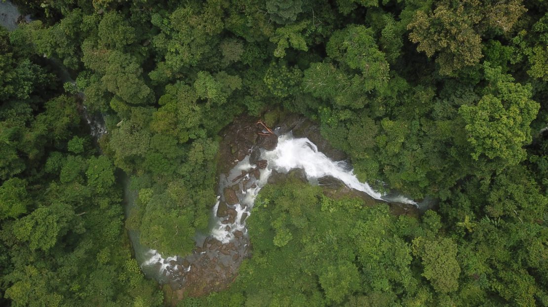 Osa>Bahía Drake Real Estate Listings 29743