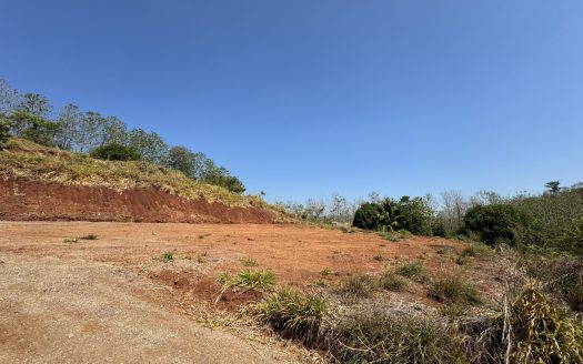 PRICE DROP!! NATURALS LOTS (5)