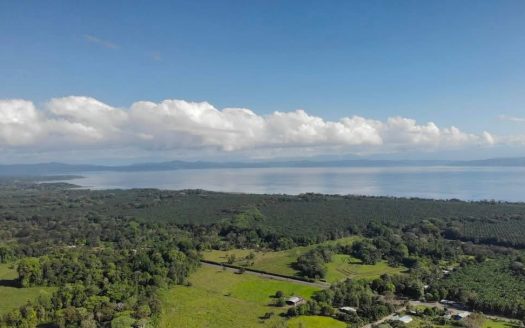 Puerto Jiménez Real Estate Listings 29599