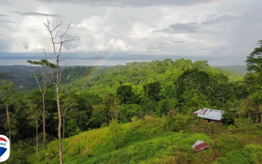 Gulfview Lot for Sale Osa Peninsula Costa Rica | 16 Hectares with Jungle & Ocean Views