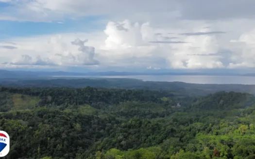 Puerto Jiménez Real Estate Listings 29684