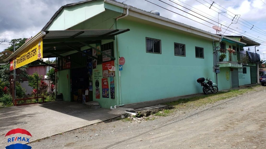 Puerto Jiménez Real Estate Listings 29693