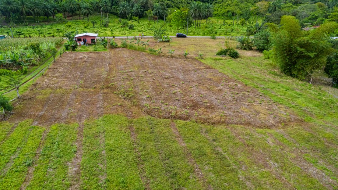 Puerto Jiménez Real Estate Listings 29701