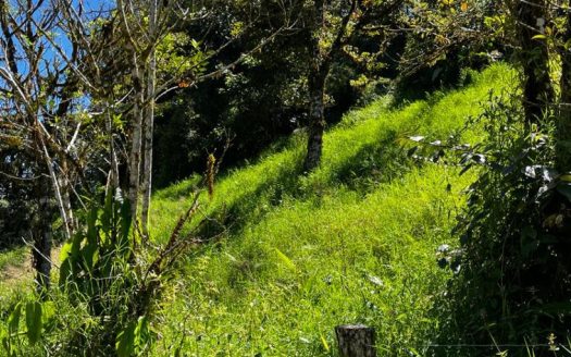 Spectacular Land in Monteverde