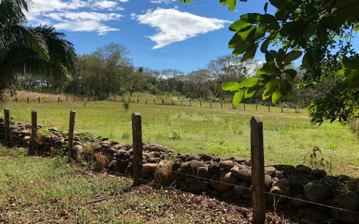 Beautiful Corner Lot