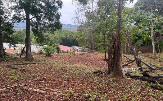 Property in the Heart of San Mateo – Your Prime Real Estate Opportunity